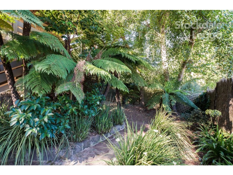 45 Belgrave-Gembrook Road, Cockatoo VIC 3781