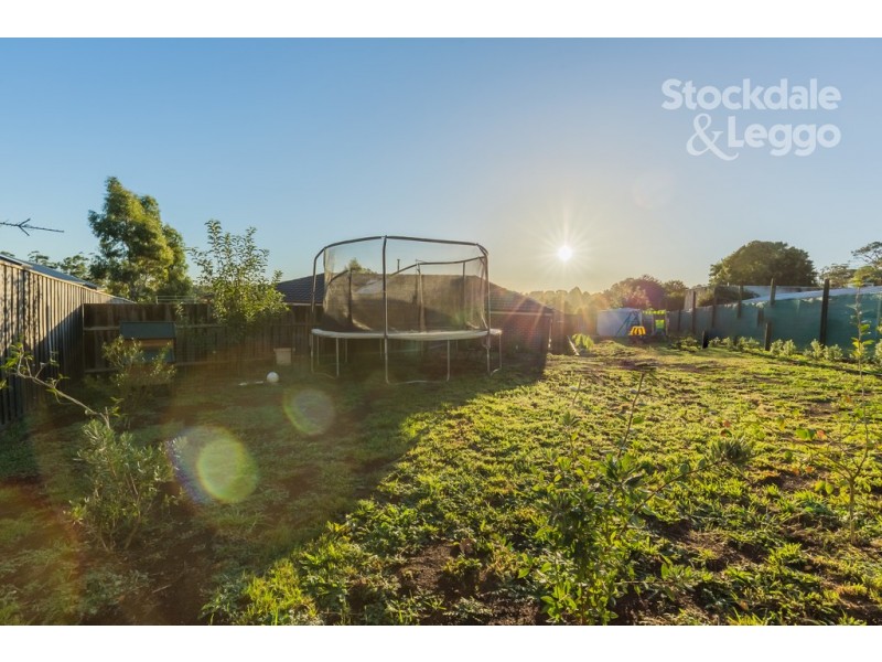 7 Vista Court, Gembrook VIC 3783