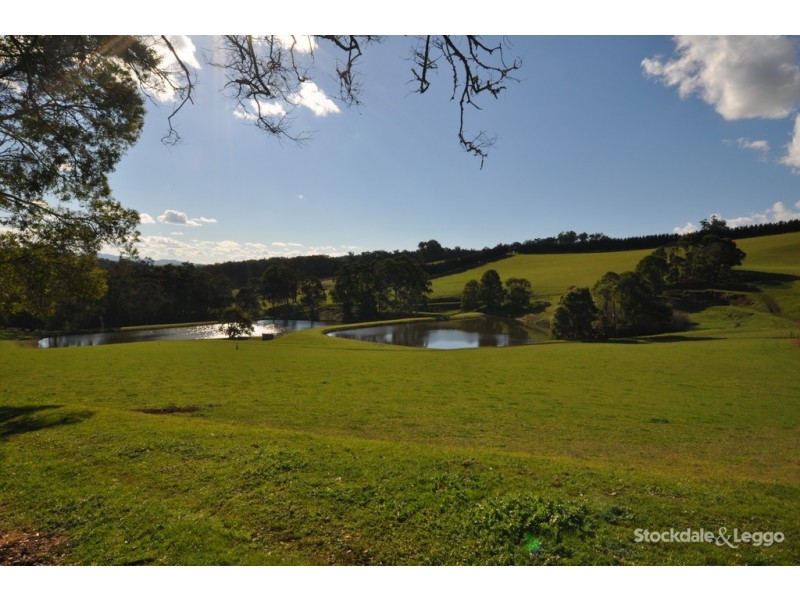 455 Ure Rd, Gembrook VIC 3783