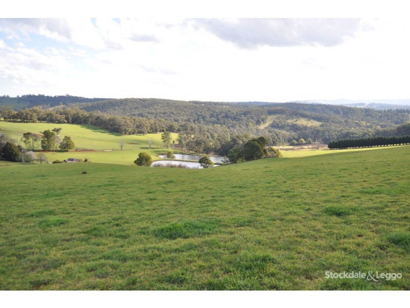 455 Ure Rd, Gembrook VIC 3783