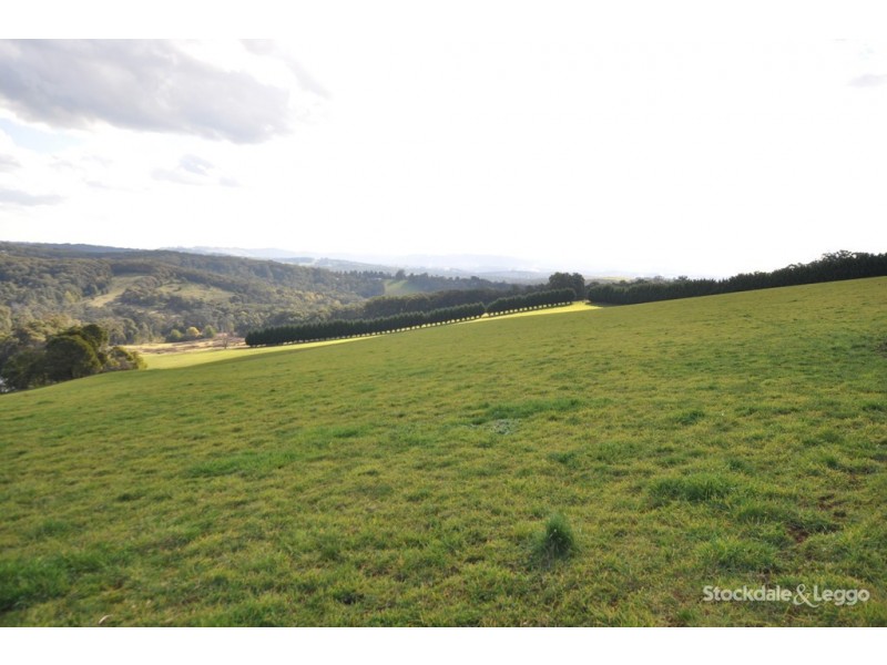 455 Ure Rd, Gembrook VIC 3783