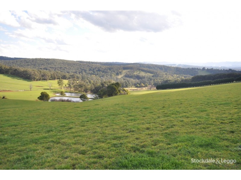 455 Ure Rd, Gembrook VIC 3783