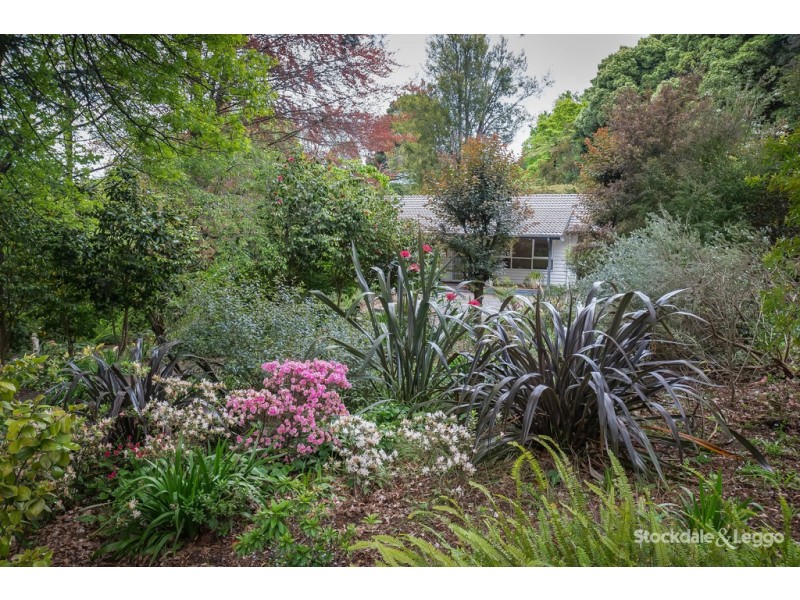 4 Emerald Lake Road, Emerald VIC 3782