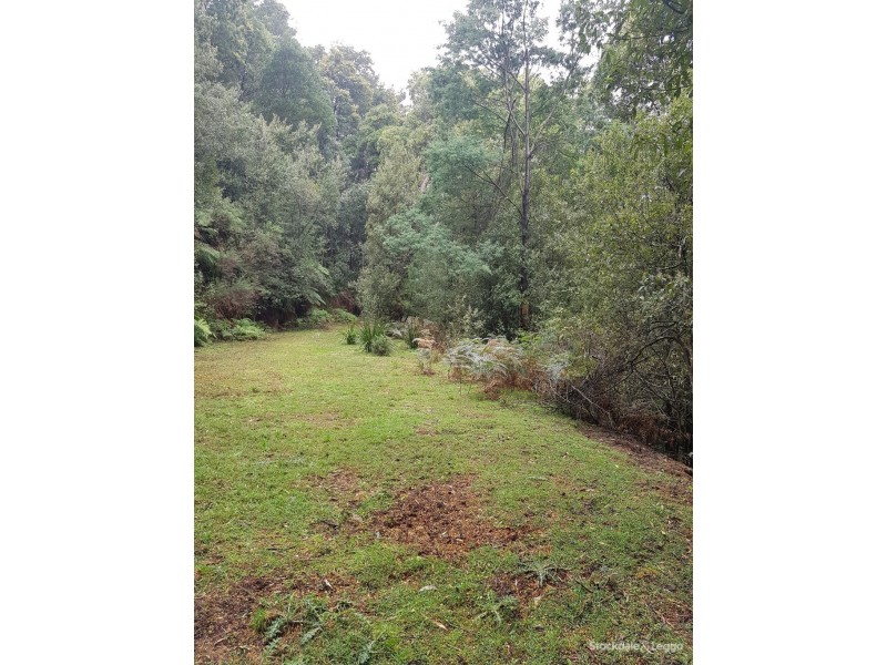 37 McCarthy Road, Olinda VIC 3788