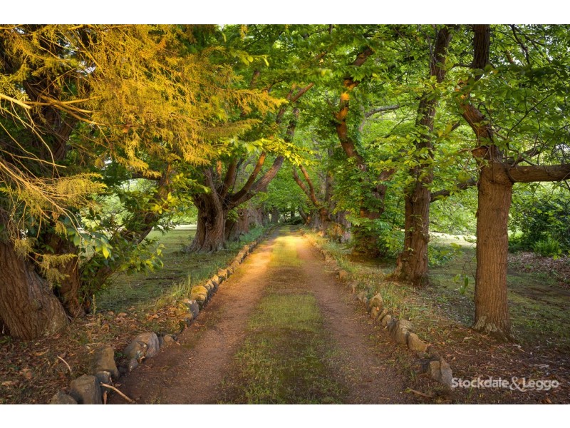 4 Edenmont Road, Emerald VIC 3782