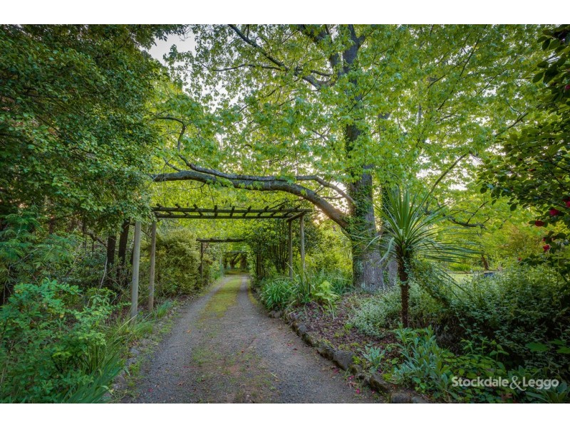 4 Edenmont Road, Emerald VIC 3782