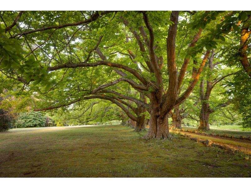 4 Edenmont Road, Emerald VIC 3782