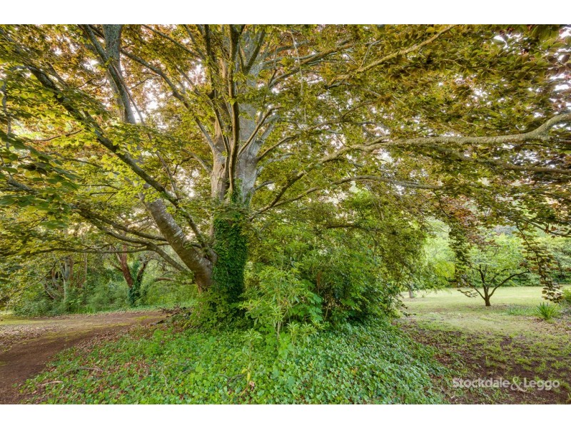 4 Edenmont Road, Emerald VIC 3782