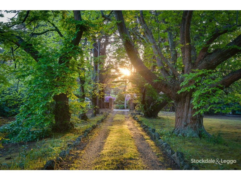 4 Edenmont Road, Emerald VIC 3782