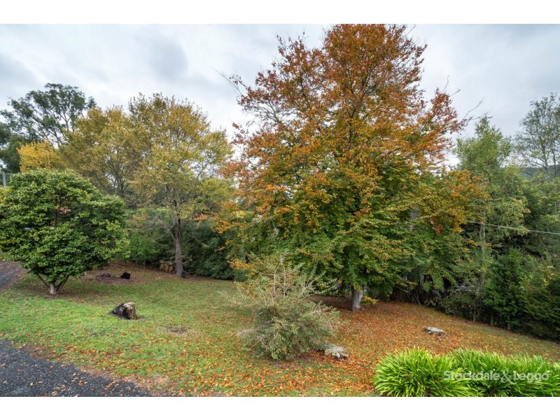 6 Fernshaw Road, Monbulk VIC 3793