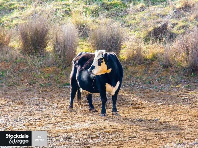 Lots 3and4, 674 Macclesfield Road, Macclesfield VIC 3782