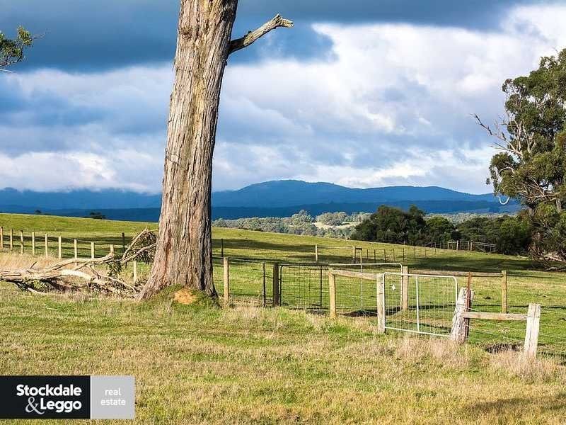 674 Macclesfield Road, Macclesfield VIC 3782