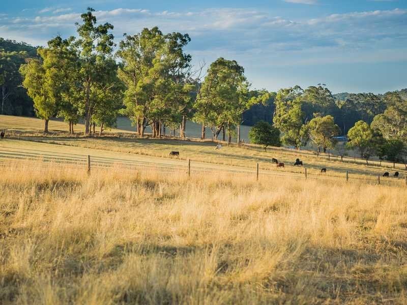 1475 Pakenham Road, Cockatoo VIC 3781