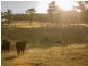 1475 Pakenham Road, Cockatoo VIC 3781