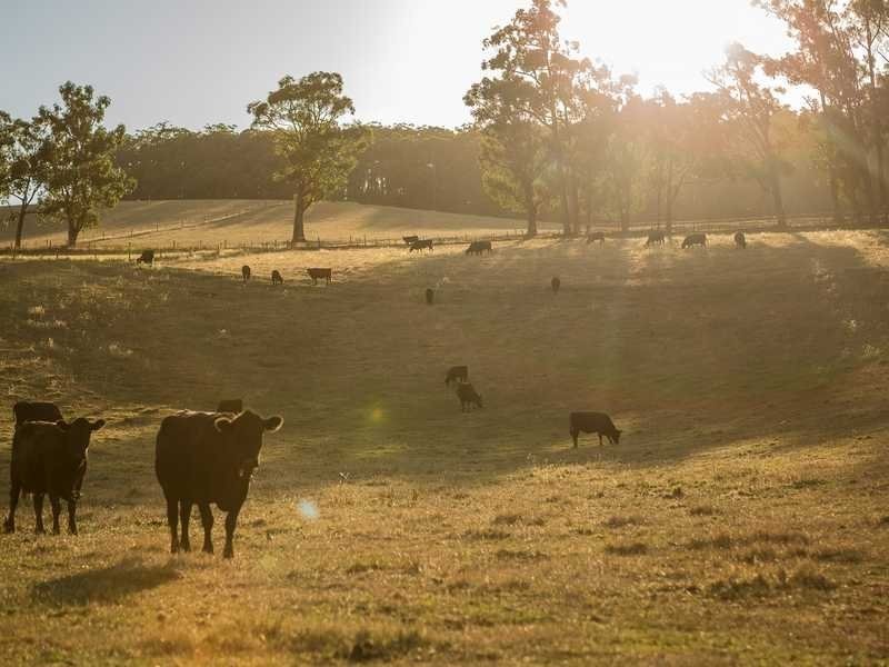 1475 Pakenham Road, Cockatoo VIC 3781