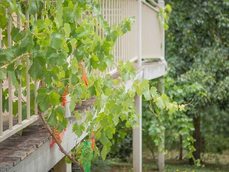 1475 Pakenham Road, Cockatoo VIC 3781