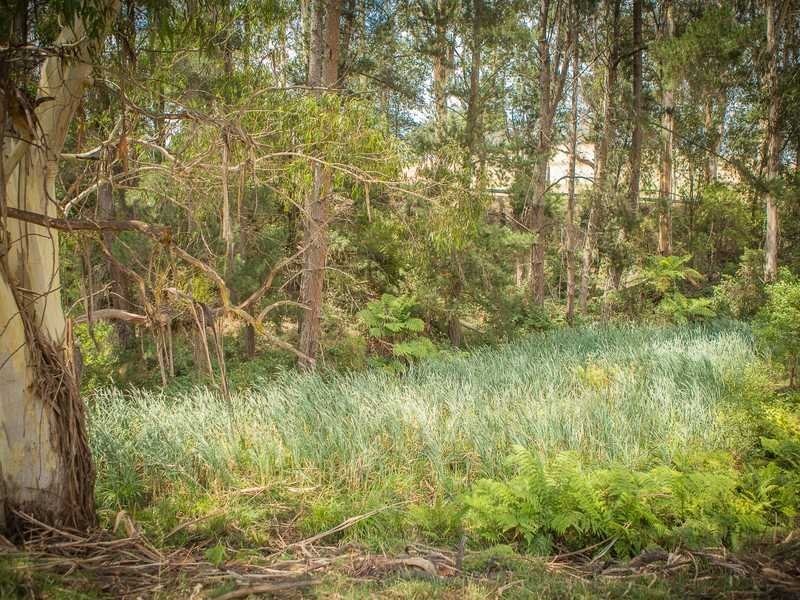 1475 Pakenham Road, Cockatoo VIC 3781