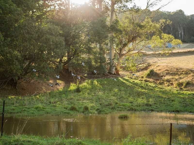1475 Pakenham Road, Cockatoo VIC 3781