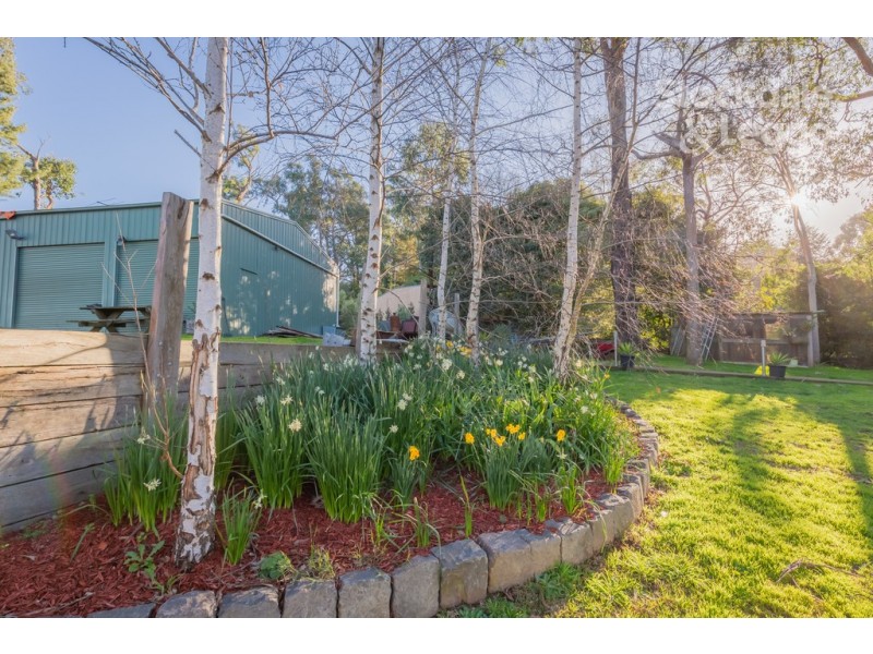 36 Avon Road, Avonsleigh VIC 3782