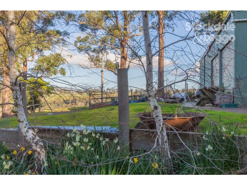 36 Avon Road, Avonsleigh VIC 3782