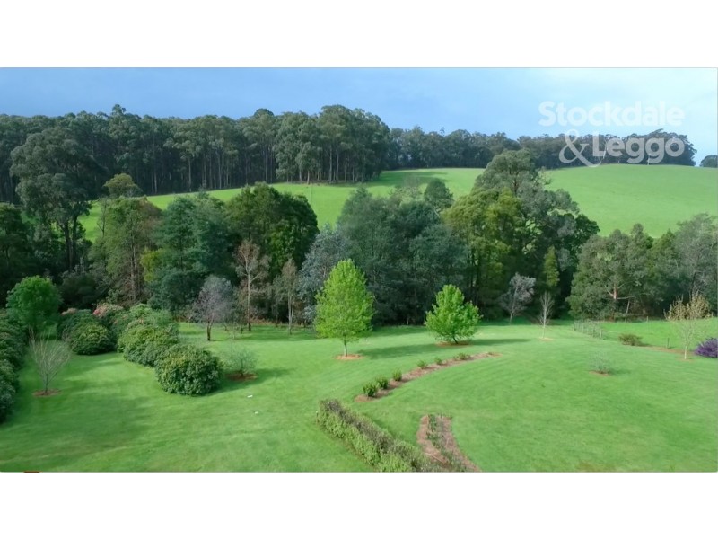 148 Collie Road, Gembrook VIC 3783