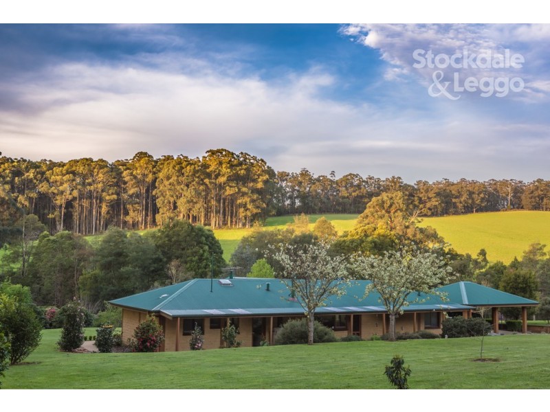 148 Collie Road, Gembrook VIC 3783