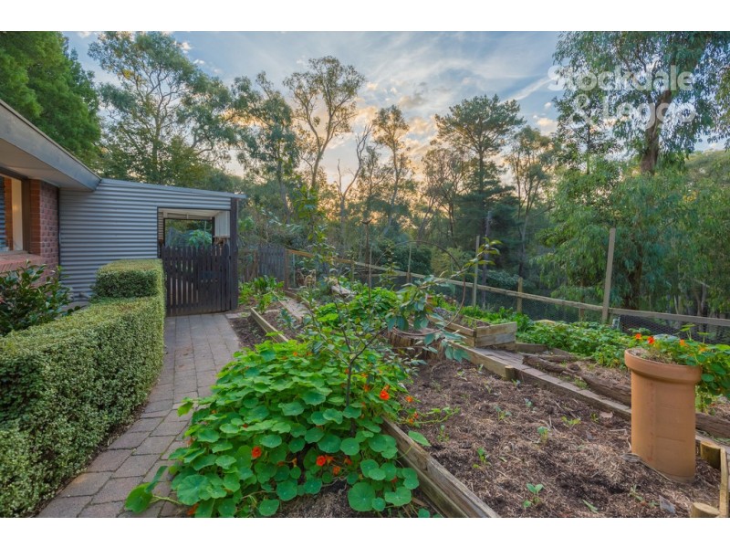 38 Stewart Road, Emerald VIC 3782