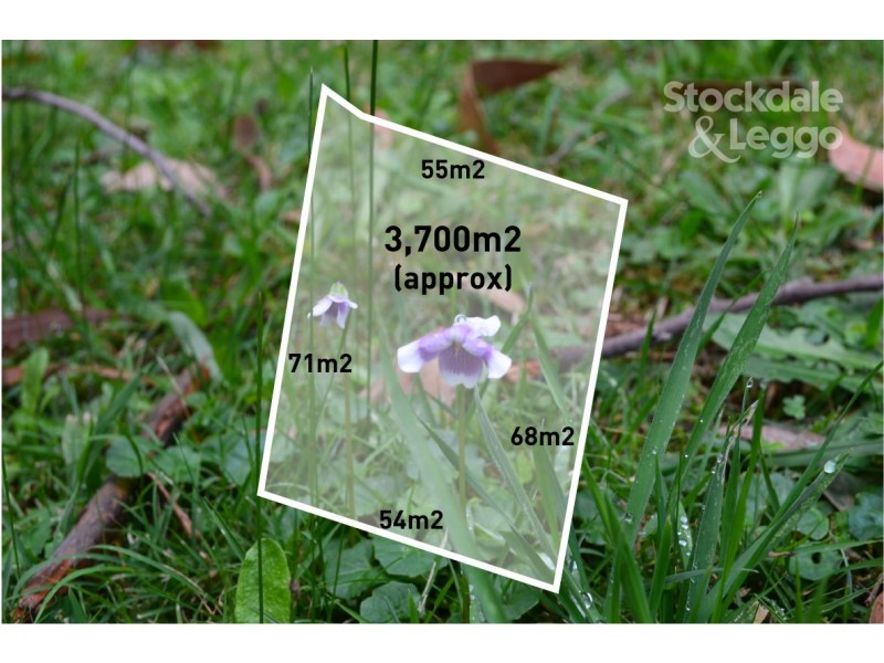 4 Mimosa Avenue, Emerald VIC 3782