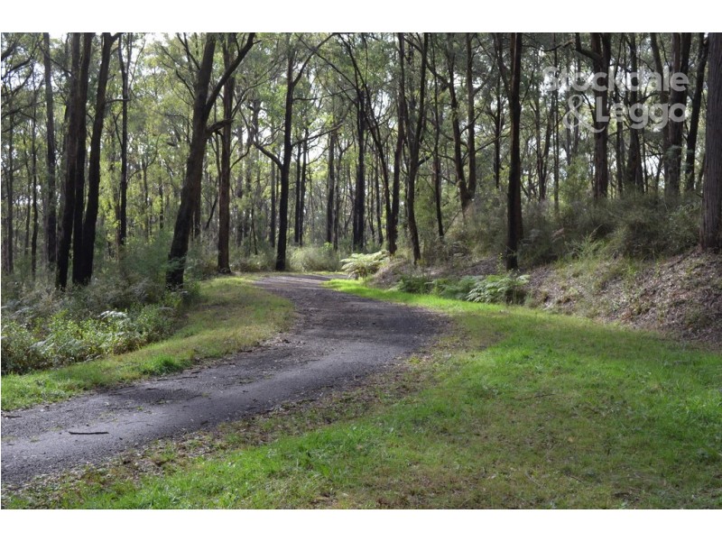 4 Mimosa Avenue, Emerald VIC 3782