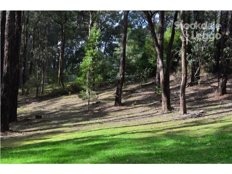 4 Mimosa Avenue, Emerald VIC 3782