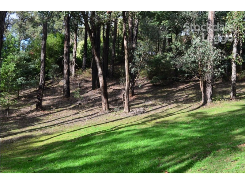 4 Mimosa Avenue, Emerald VIC 3782