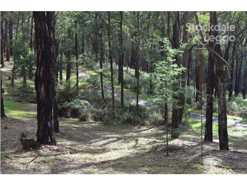 4 Mimosa Avenue, Emerald VIC 3782