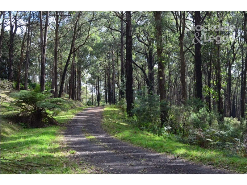 4 Mimosa Avenue, Emerald VIC 3782