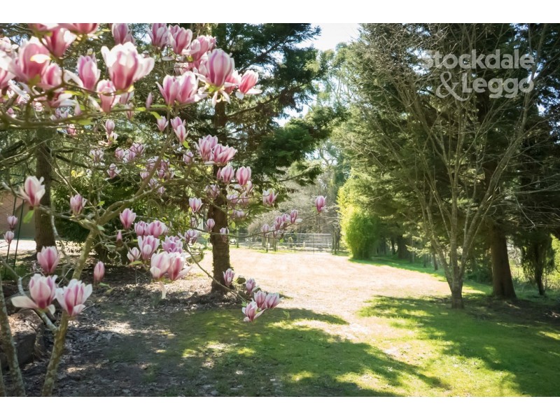 33 Bird Road, Avonsleigh VIC 3782