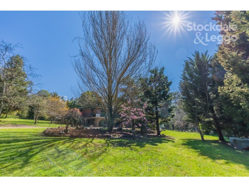 33 Bird Road, Avonsleigh VIC 3782