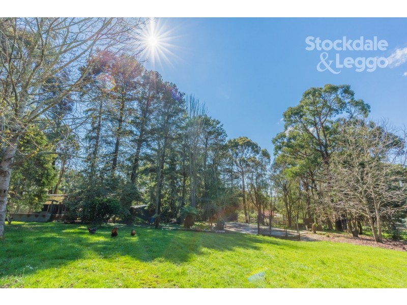 33 Bird Road, Avonsleigh VIC 3782