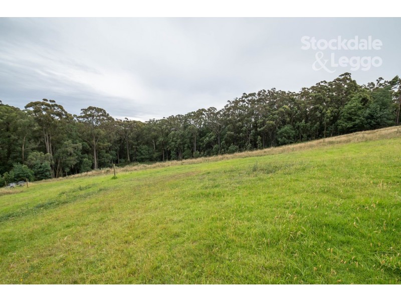 115 Gembrook Tonimbuk Road, Gembrook VIC 3783