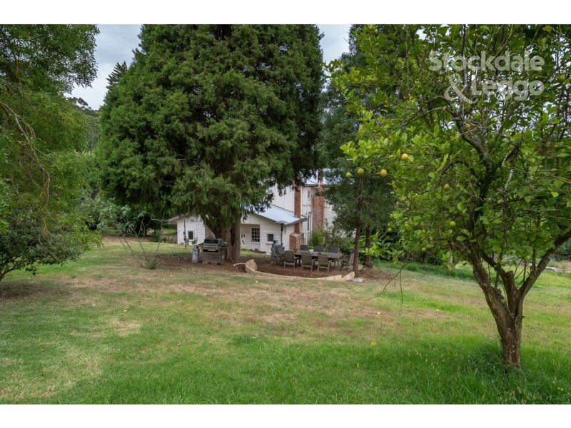115 Gembrook Tonimbuk Road, Gembrook VIC 3783