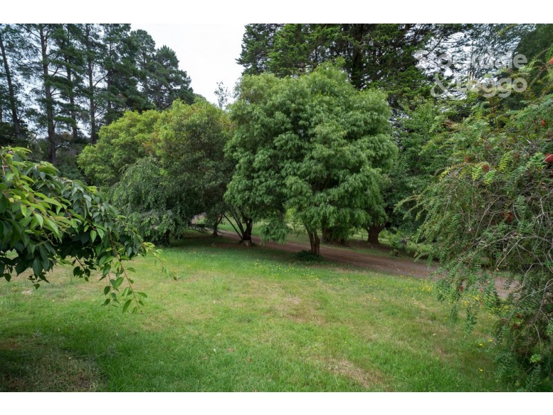 115 Gembrook Tonimbuk Road, Gembrook VIC 3783