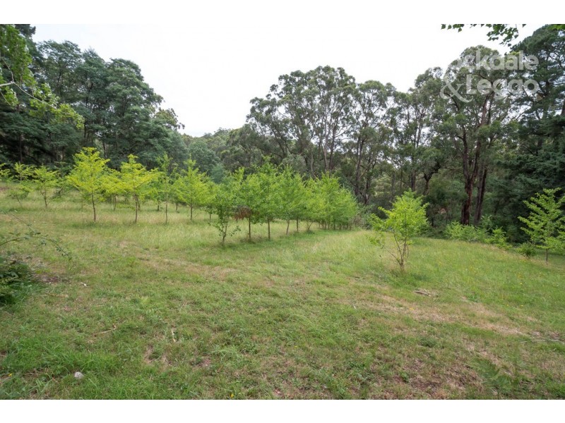 115 Gembrook Tonimbuk Road, Gembrook VIC 3783