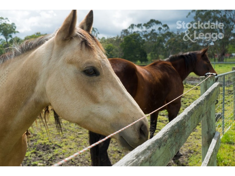 1 Brodrick Road, Macclesfield VIC 3782