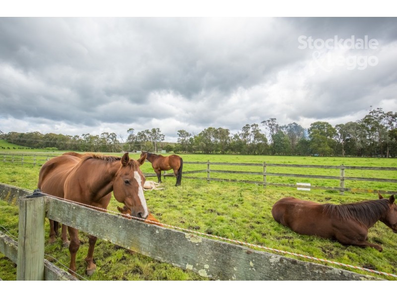 1 Brodrick Road, Macclesfield VIC 3782