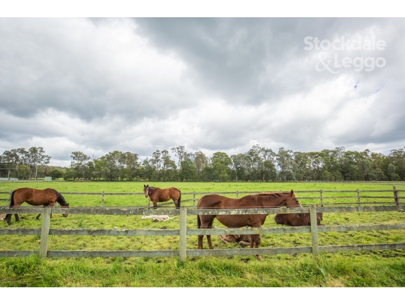 1 Brodrick Road, Macclesfield VIC 3782