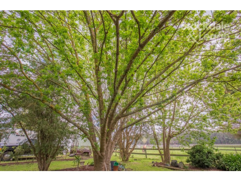 1 Brodrick Road, Macclesfield VIC 3782