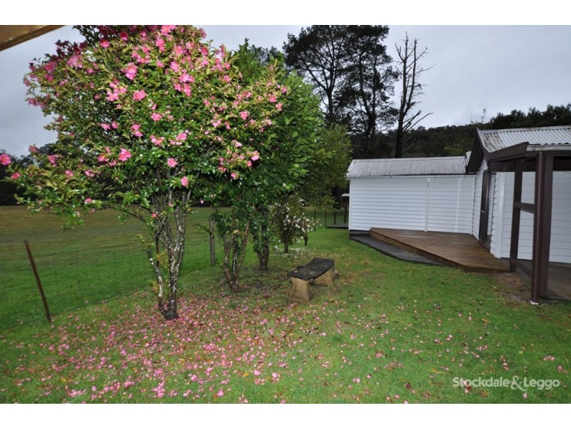 170 Soldiers Road, Gembrook VIC 3783