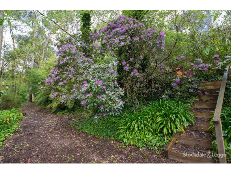 3 Hillcrest Court, Cockatoo VIC 3781