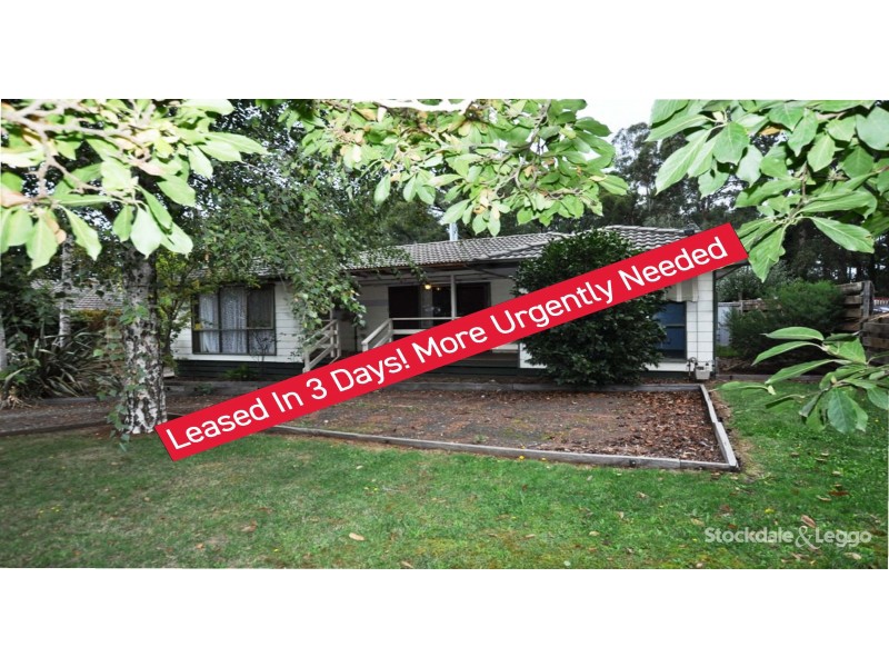 17 Kitchener Parade, Cockatoo VIC 3781