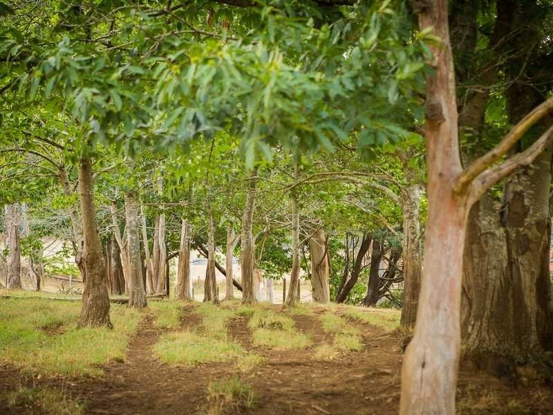 1475 Pakenham Road, Cockatoo VIC 3781