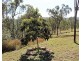 130 HH Innes Rd, Gin Gin QLD 4671