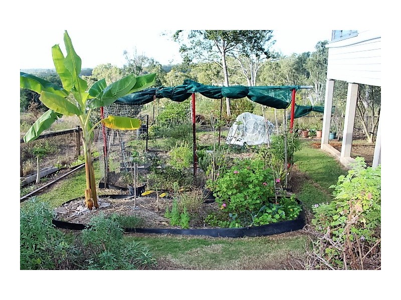 10 Morris Terrace, Gin Gin QLD 4671